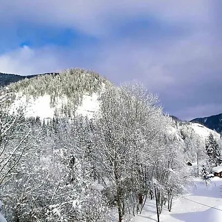 Garni Buertlmair فندق